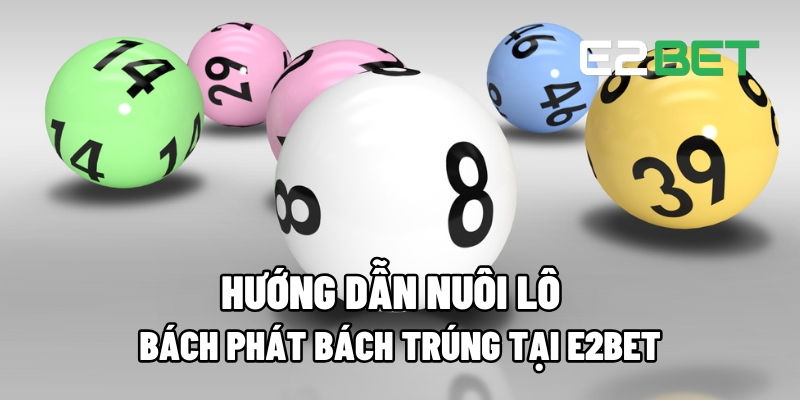 nuoi lo 1